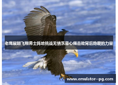 老鹰展翅飞翔勇士阵地挑战无情落幕心痛击败背后隐藏的力量 老鹰展翅飞翔勇士阵地挑战无情落幕心痛击败背后隐藏的力量